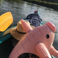 Hvilke spil skal jeg tage med til en forlænget majweekend?